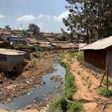 Immersion trips Image 18