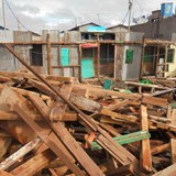 Immersion trips Image 45